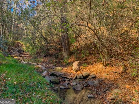 A home in Ellijay