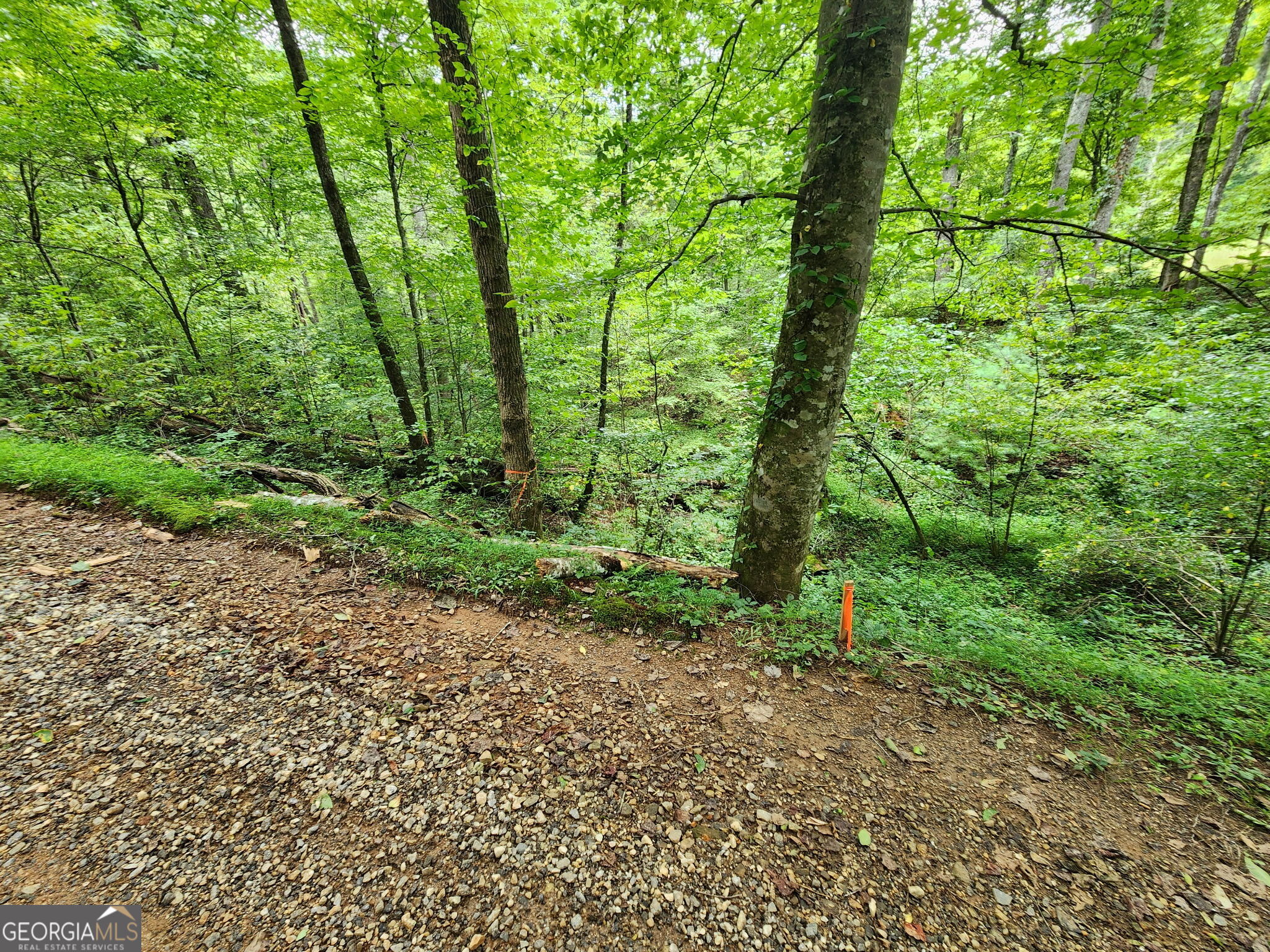 TRACT 2A Poplar Cove TRL