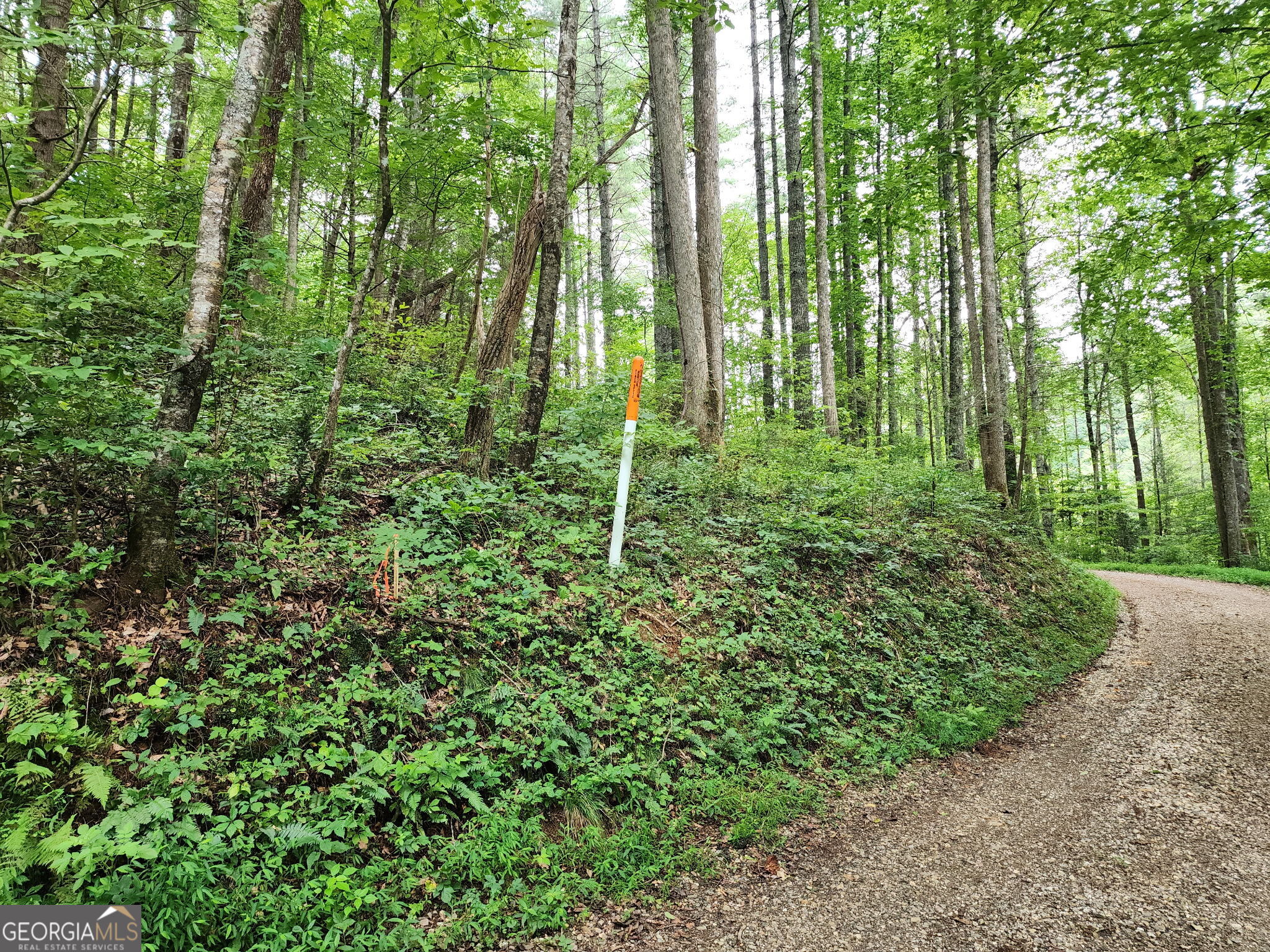 TRACT 2A Poplar Cove TRL