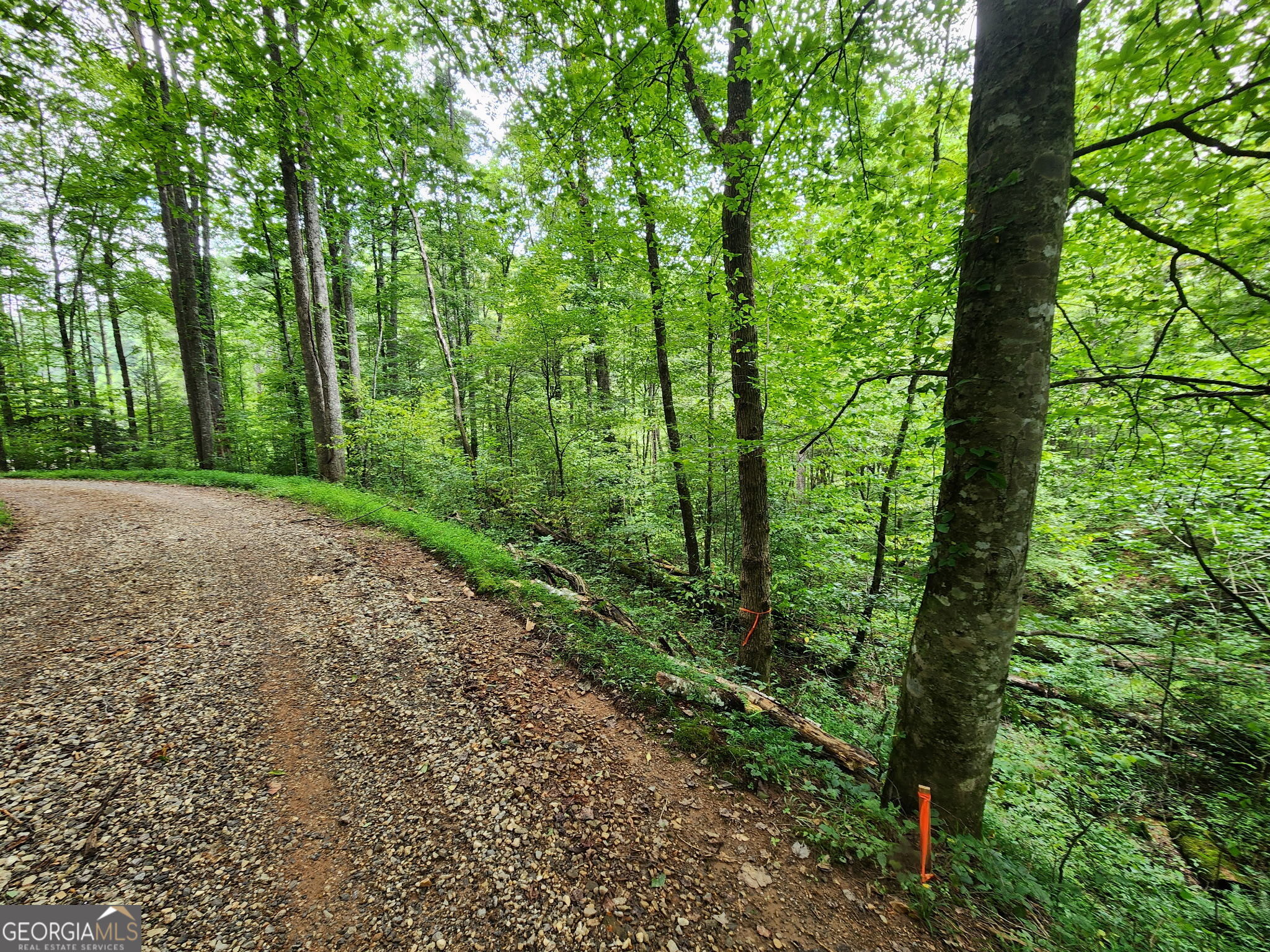 TRACT 2A Poplar Cove TRL