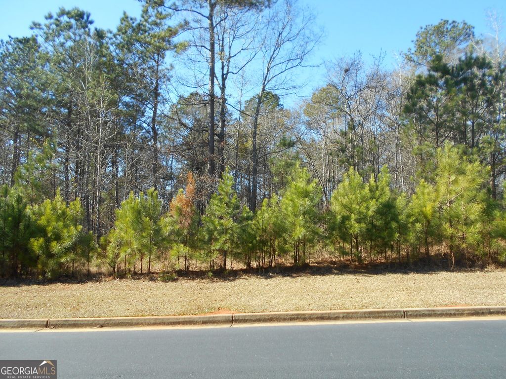 Photo of 1201 Spinnaker Rd, Buckhead, GA 30625 (MLS # 10665004)