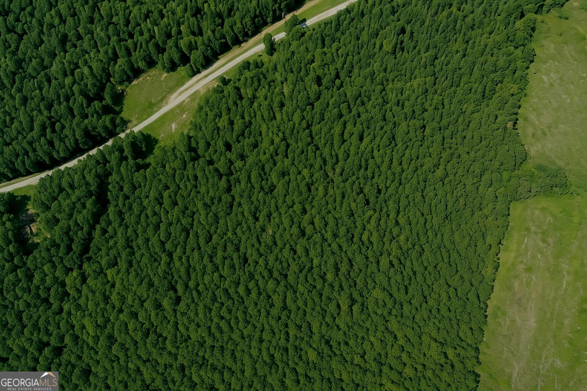 ****LOOKING FOR LAND IN HEARD COUNTY? WHO'S NOT! 48 +/- ACRES HAS APPROXIMATELY 994 FT OF ROAD FRONTAGE***CALL LISTING AGENT FOR MORE DETAILS OR TO SET UP A TIME TO VIEW IT IN PERSON***COUNTY WATER AVAILABLE ALONG WITH HIGH SPEED INTERNET!!!