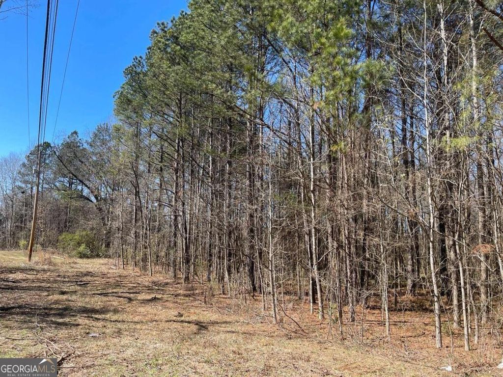 Photo of 0 Brown Bridge Road, Covington, GA 30014 (MLS # 10706119)