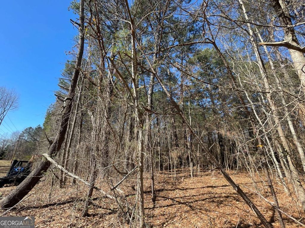 Photo of 0 Brown Bridge Road, Covington, GA 30014 (MLS # 10706119)