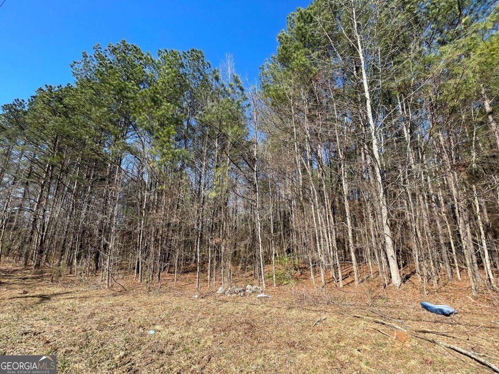 Photo of 0 Brown Bridge Road, Covington, GA 30014 (MLS # 10706119)