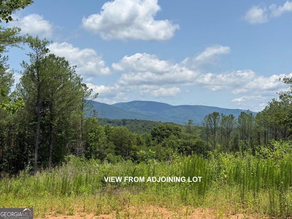 Photo of 9 Reece Mountain Road, Ellijay, GA 30536 (MLS # 10852247)