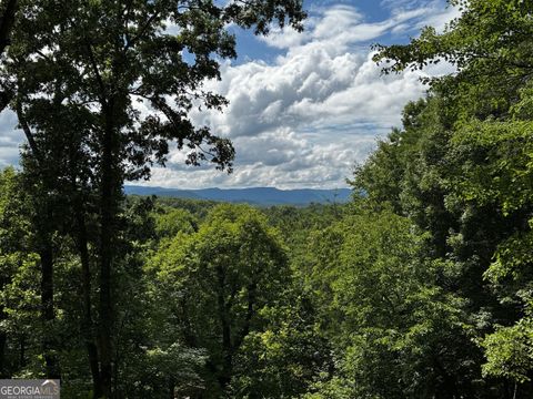 A home in Blue Ridge