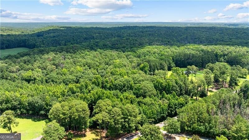 Photo of 0 Rico Road, Chattahoochee Hills, GA 30268 (MLS # 10811163)