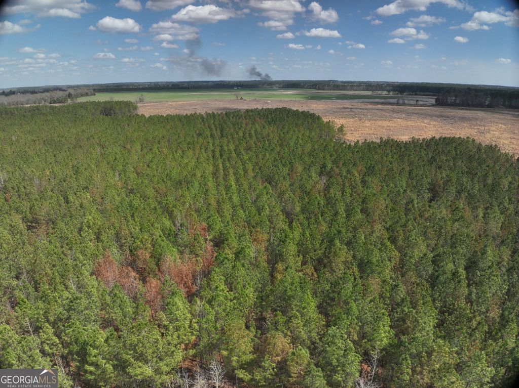 Photo of TBD Cypress Creek Road, Wrightsville, GA 31096 (MLS # 10711872)