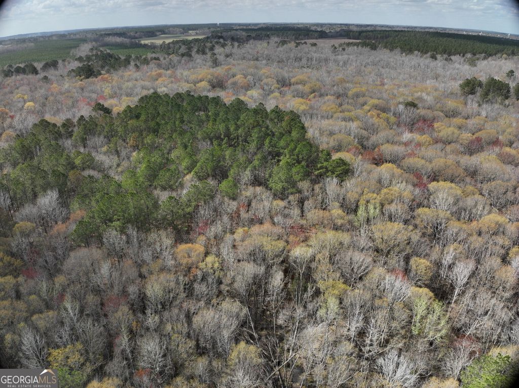 Photo of TBD Cypress Creek Road, Wrightsville, GA 31096 (MLS # 10711872)