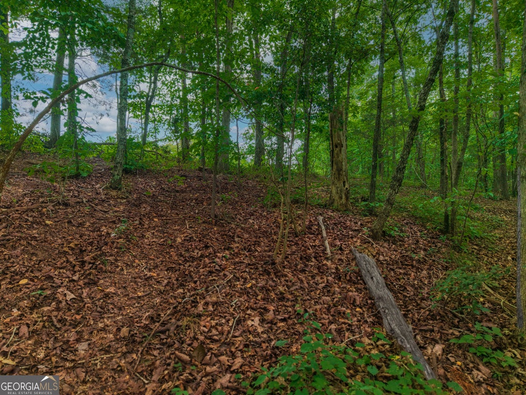 Photo of 0 Hobgood Road, Rydal, GA 30171 (MLS # 10821402)