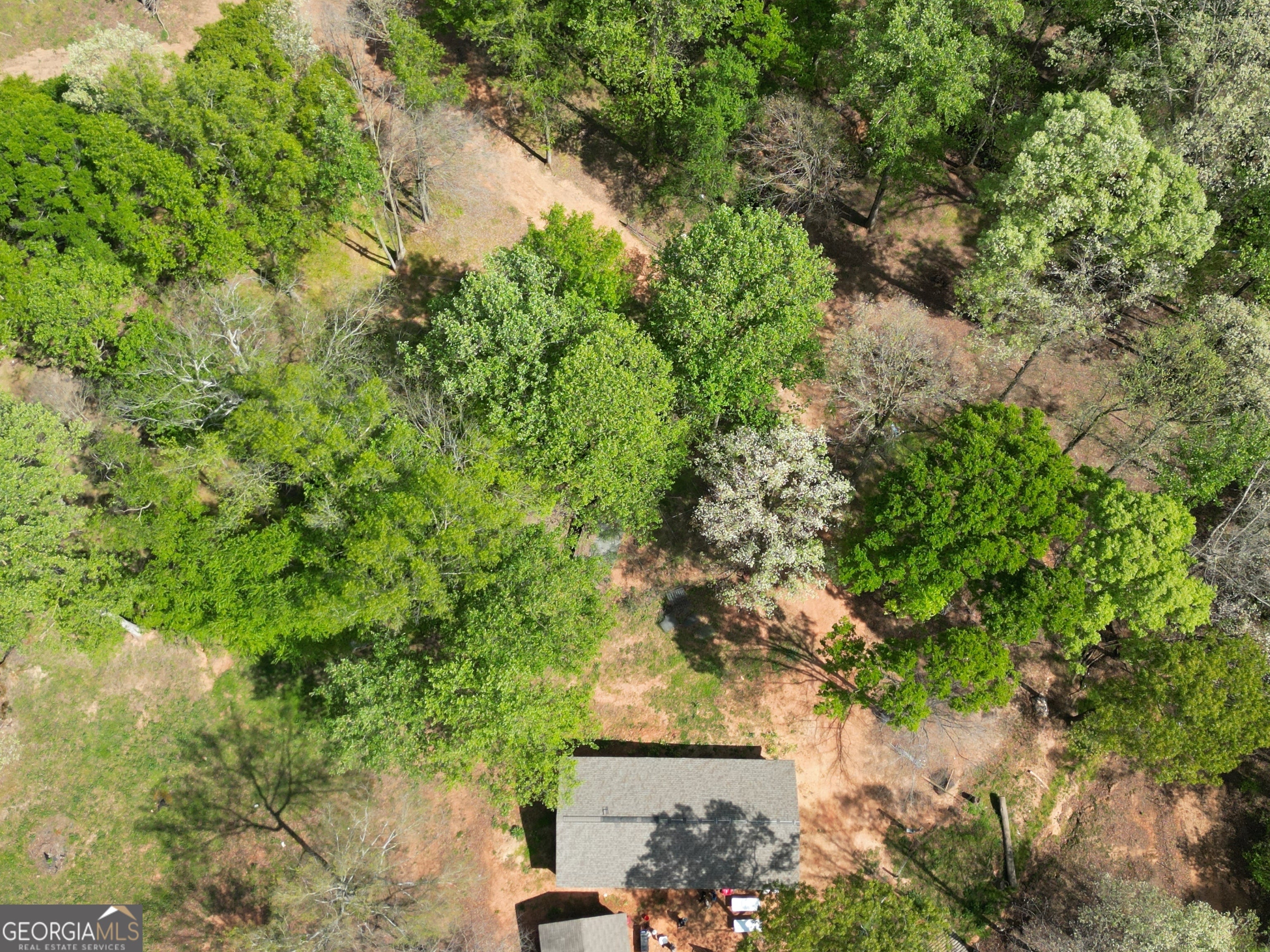 213 Duncan Swindle RD