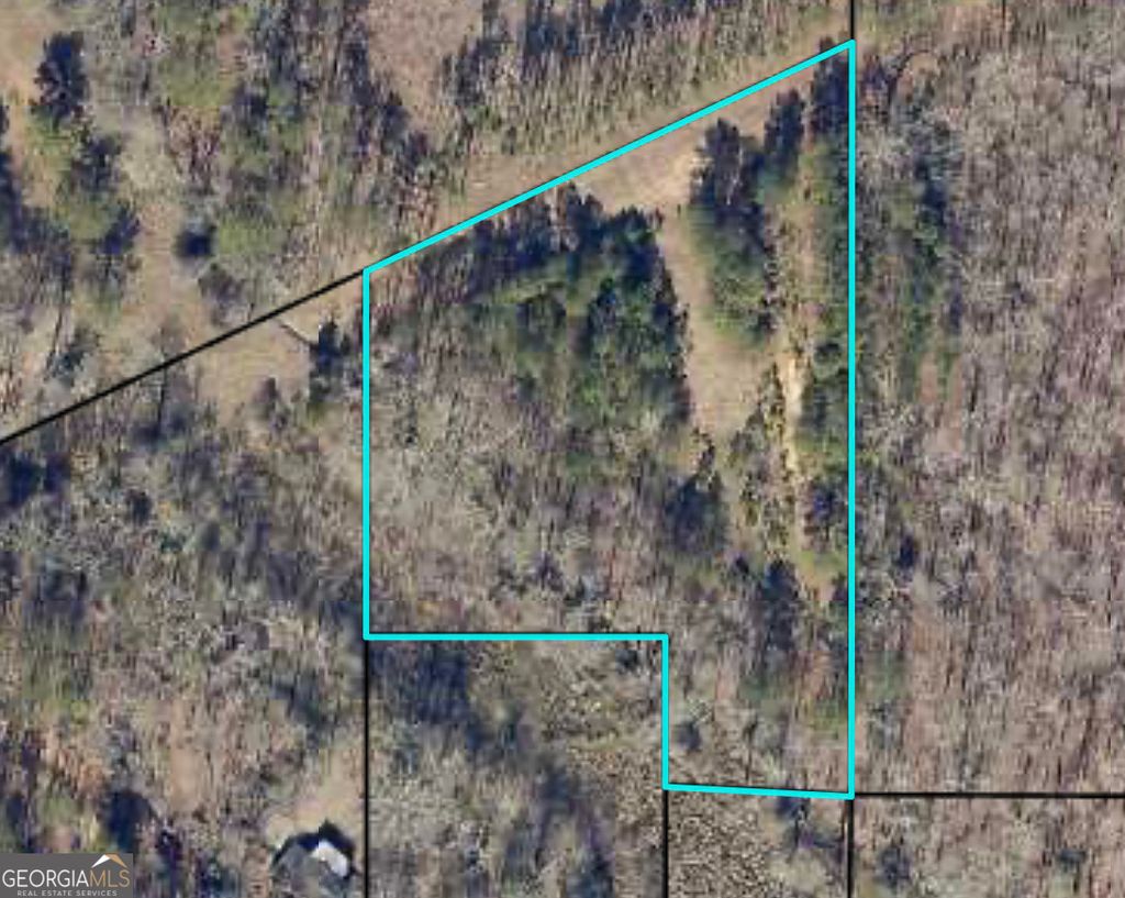 Photo of 0 Jones Road, Milner, GA 30257 (MLS # 10764491)