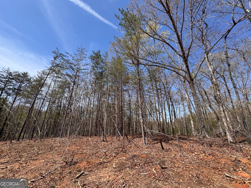 Photo of 0 Highway 129 N, Cleveland, GA 30528 (MLS # 10835643)