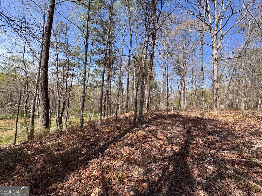 Photo of 0 Highway 129 N, Cleveland, GA 30528 (MLS # 10835643)
