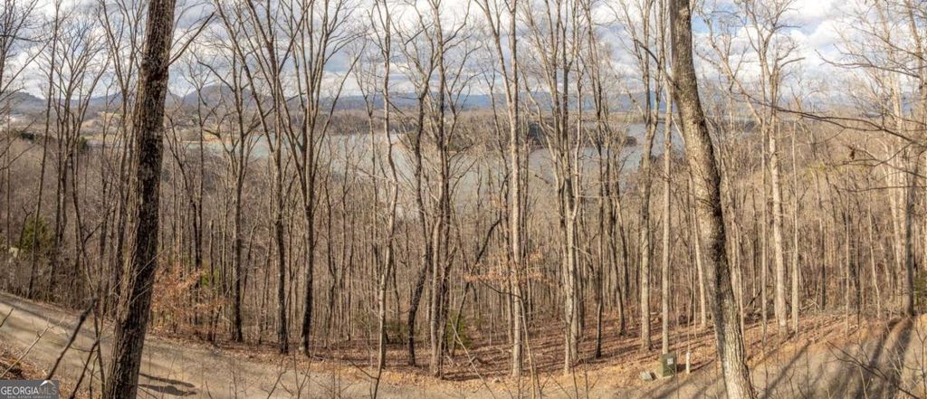 Photo of 0 Frog Pond Road, Hiawassee, GA 30546 (MLS # 10707426)