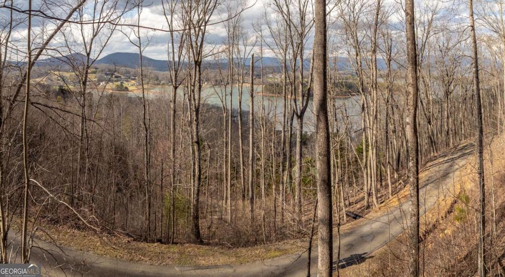 Photo of 0 Frog Pond Road, Hiawassee, GA 30546 (MLS # 10707426)