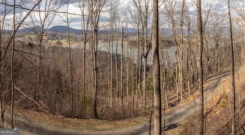 0 Frog Pond RD Hiawassee GA 30546