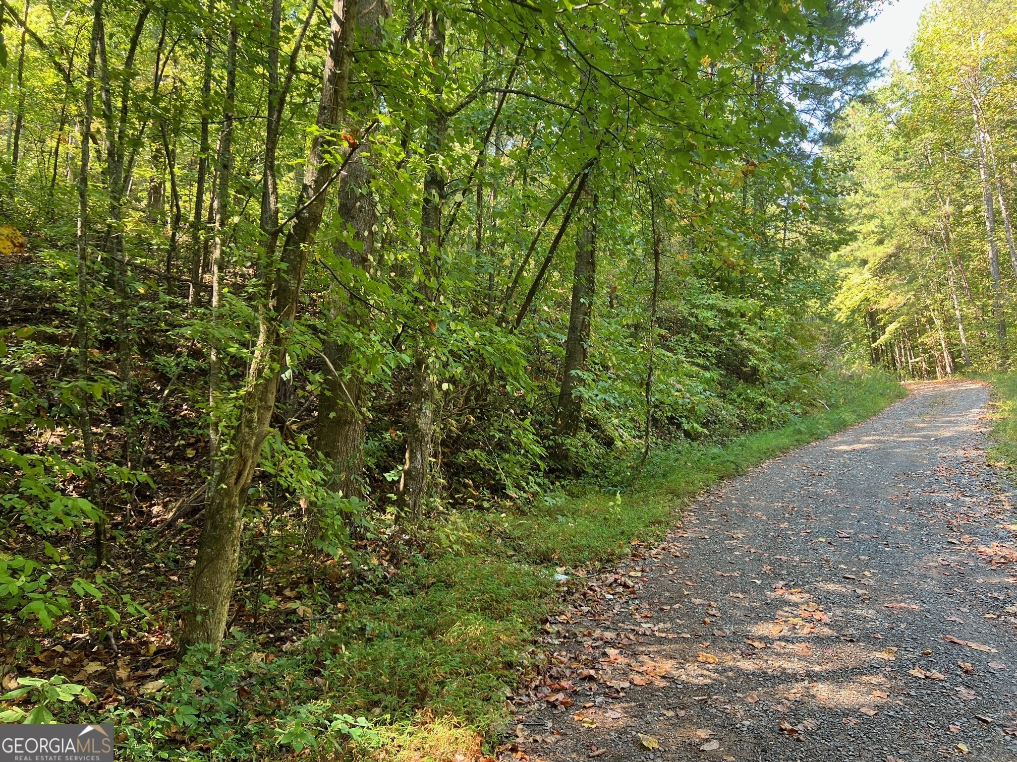 WELCOME HOME! Looking to build that dream home in the North GA Mountains. Come take a look at this affordable, peaceful & serene lot consisting of 2.48 acres located minutes from the gate. TRCR offers lots a great amenities such as pools, tennis & basketball courts, clubhouse, picnic area, playground, hiking trails, and The Trout Lodge which offers a beautiful lodge & located on the gorgeous Talking Rock Creek for those special family gatherings. There is also TROUT fishing as well. Stunning Carters Lake is located just 5 minutes from TRCR. Convenient to Ellijay & Jasper & a little over a hour from Atlanta. So grab those house plans & call your builder & come on up and lets make that dream into a reality. Go and see this today!! Additional lots available.