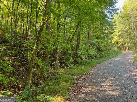 894 Newman CT Ranger GA 30734