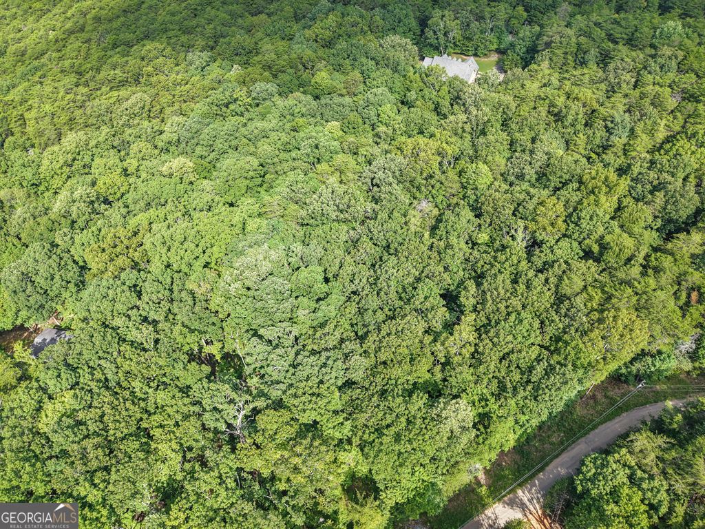 Photo of 156 Mulberry Circle, Jasper, GA 30143 (MLS # 10689092)