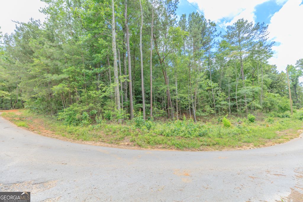 Photo of 0 Wallaceville Cemetery Road, Chickamauga, GA 30700 (MLS # 10789064)