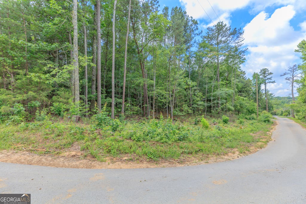 Photo of 0 Wallaceville Cemetery Road, Chickamauga, GA 30700 (MLS # 10789064)