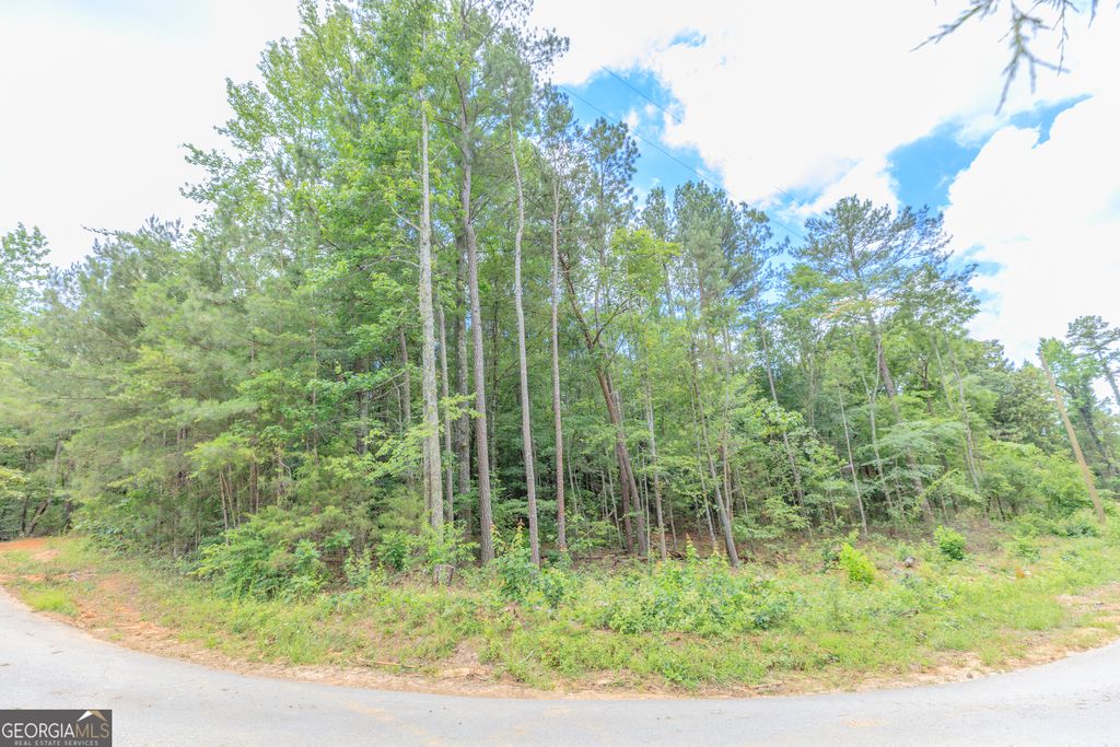Photo of 0 Wallaceville Cemetery Road, Chickamauga, GA 30700 (MLS # 10789064)