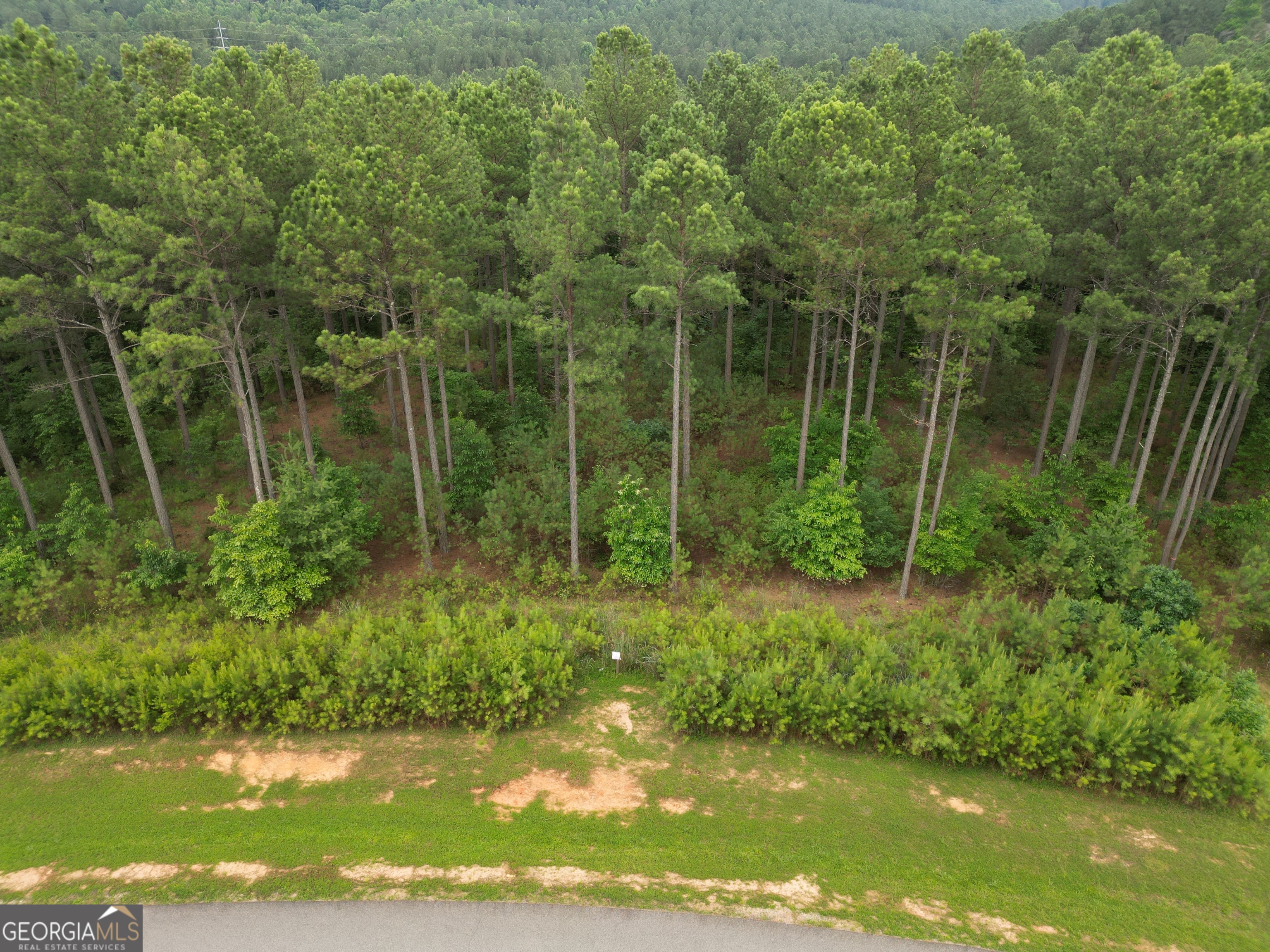 Spanning from mountain crest to lakeside this generous 1.87acre parcel offers an inviting blend of natural beauty and upscale development. You'll be just a short drive from Lake Nottely and downtown Blairsville but feel miles away in your private mountain retreat. The lot features gently rolling terrain, paved roads, underground utilities, and access to public water and electricity-ideal for ease of construction