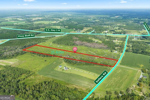 Photo of 0 Sellers Road, Baxley, GA 31513 (MLS # 10847065)