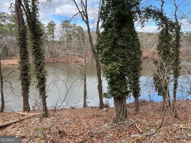 0 Lower Dixie Lake RD