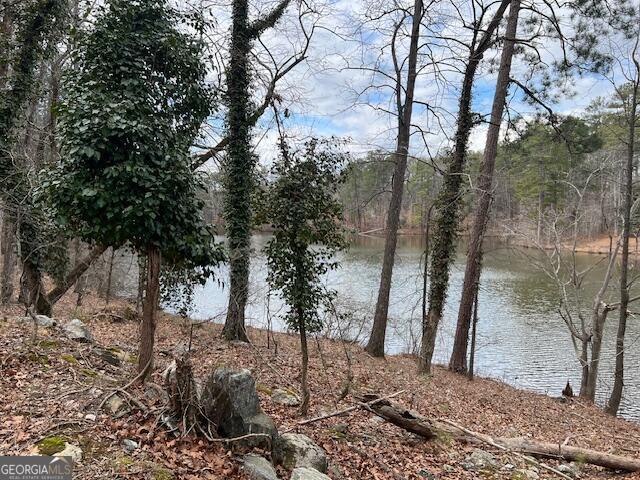 0 Lower Dixie Lake RD