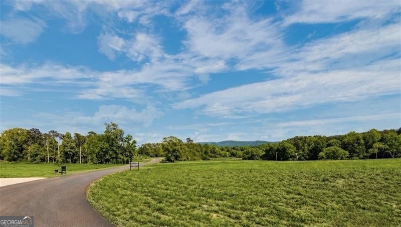 Photo of 110 Palisade Drive, Rydal, GA 30171 (MLS # 10814882)