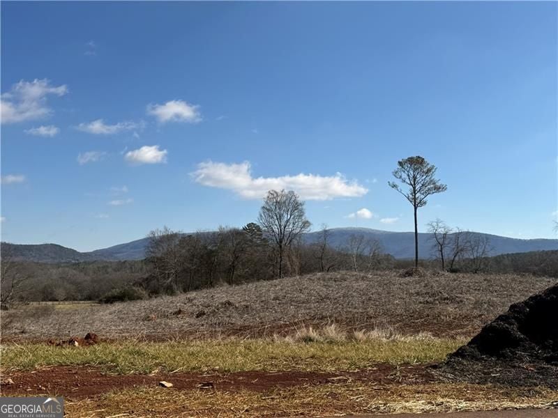 Photo of 110 Palisade Drive, Rydal, GA 30171 (MLS # 10814882)