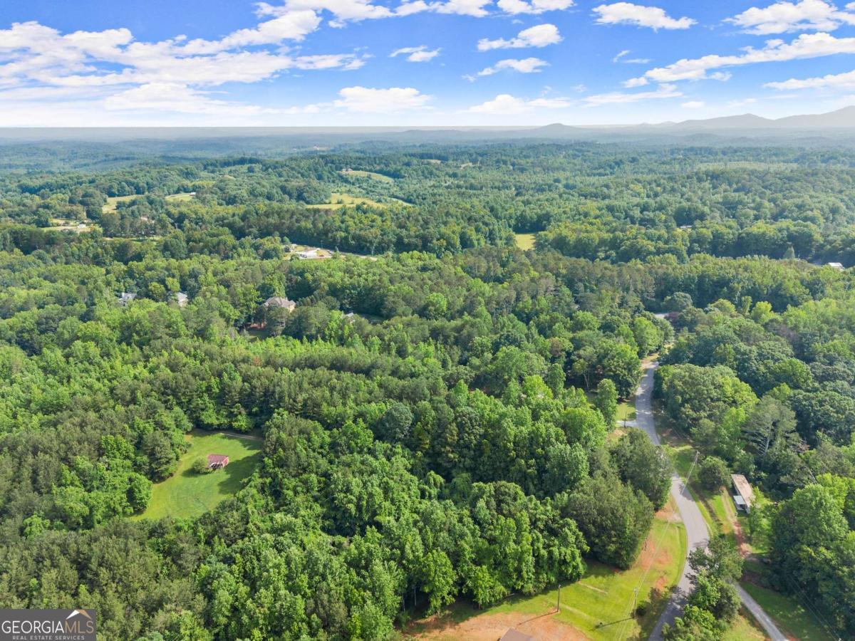 1 Yellow Creek
