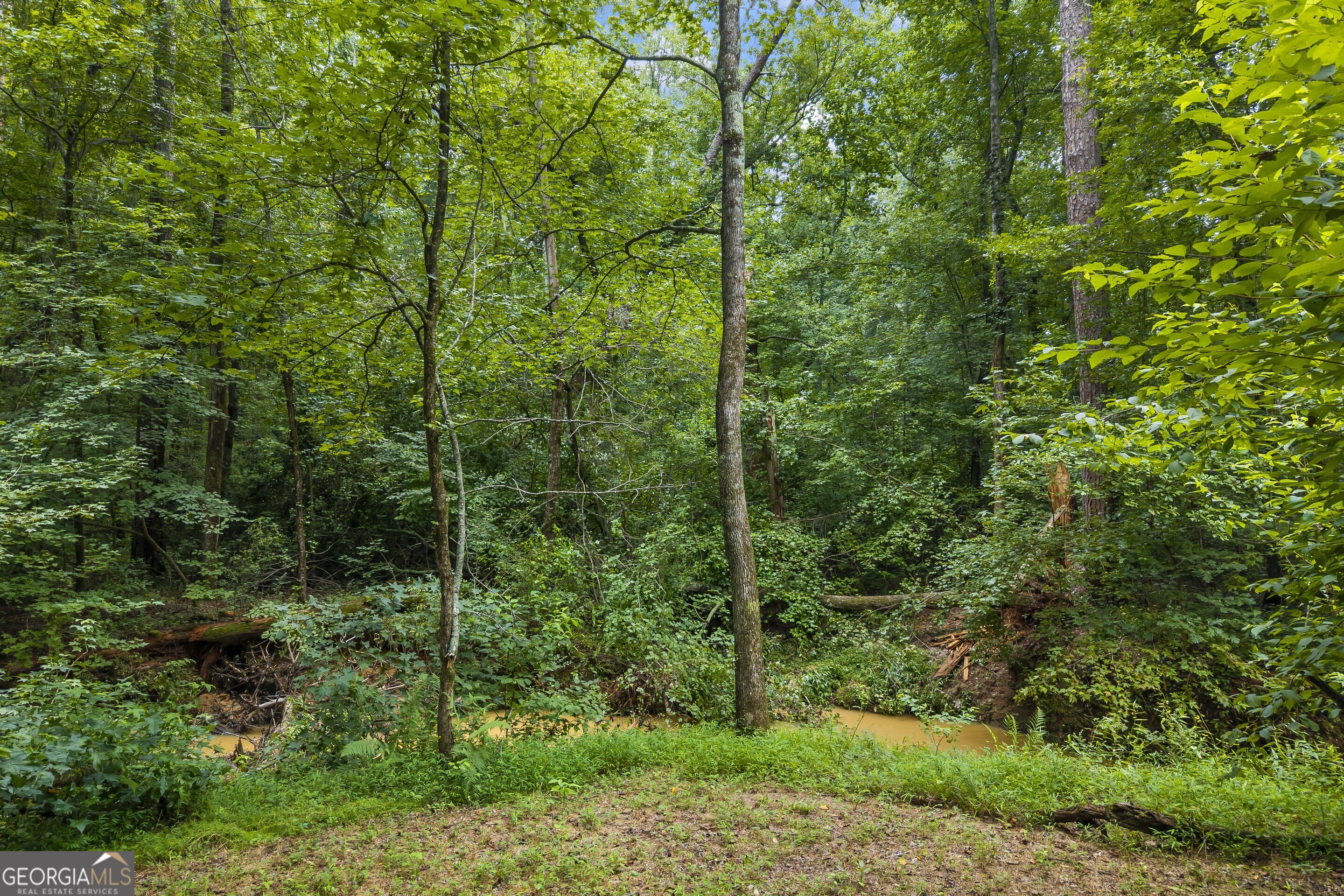 Buford, Georgia 30519, United States, 5 Bedrooms Bedrooms, ,4 BathroomsBathrooms,Residential,Active,179252