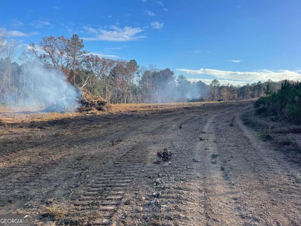 Photo of 0A Johnson Lake Road #0A, Cedartown, GA 30125 (MLS # 10767109)