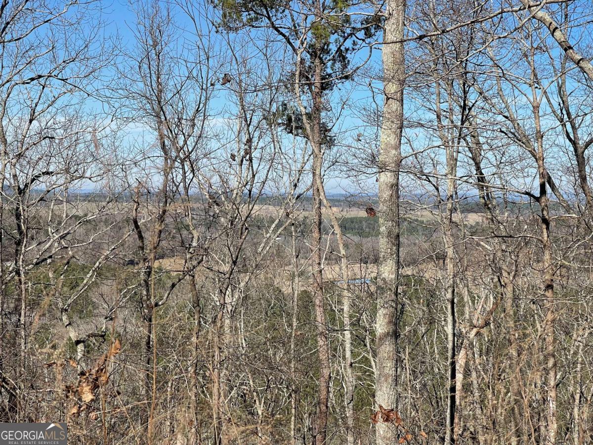 0A Johnson Lake Road #0A