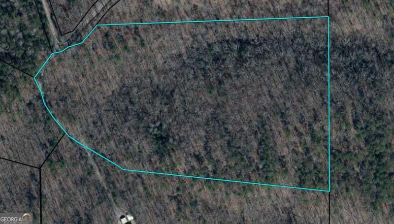 If your New Year's Resolution or Life Plan for 2025 includes purchasing land, we have you covered. This beautiful 16+ Acre Tract is located at the highest elevation in PolK County atop Paris Mountain and backs up to a 600+ acre hunting preserve.  Build your new home amongst the serene private wooded parcel well removed from the hustle and bustle.  Yet still enjoy the convenience of shopping, dining, medical facilities and recreation.  A previous owner started a home basement foundation and garage pad that was not completed.  There is also a well on the property that seller has never used.  Arrive at the parcel via a meandering ride up the mountain from downtown Rockmart or avoid the switchback mountain path via Browning Road. Property also makes a great hunting spot.  Approximately an hour from Atlanta Hartsfield Jackson Airport.  If you are interested in this property: 1.  Text, Email or Call the listing agent or contact your agent.  2.  Make an appointment to walk the property, or if represented by an agent, have them make the appointment.  3.  Provide Proof of Funds or loan preapproval.  4.  Dress in hunter's orange for safety. 5.  For your safety and in consideration of the neighbors who live on the same easement, NEVER access the property without an appointment and an agent.  Your adherence to this is greatly appreciated.