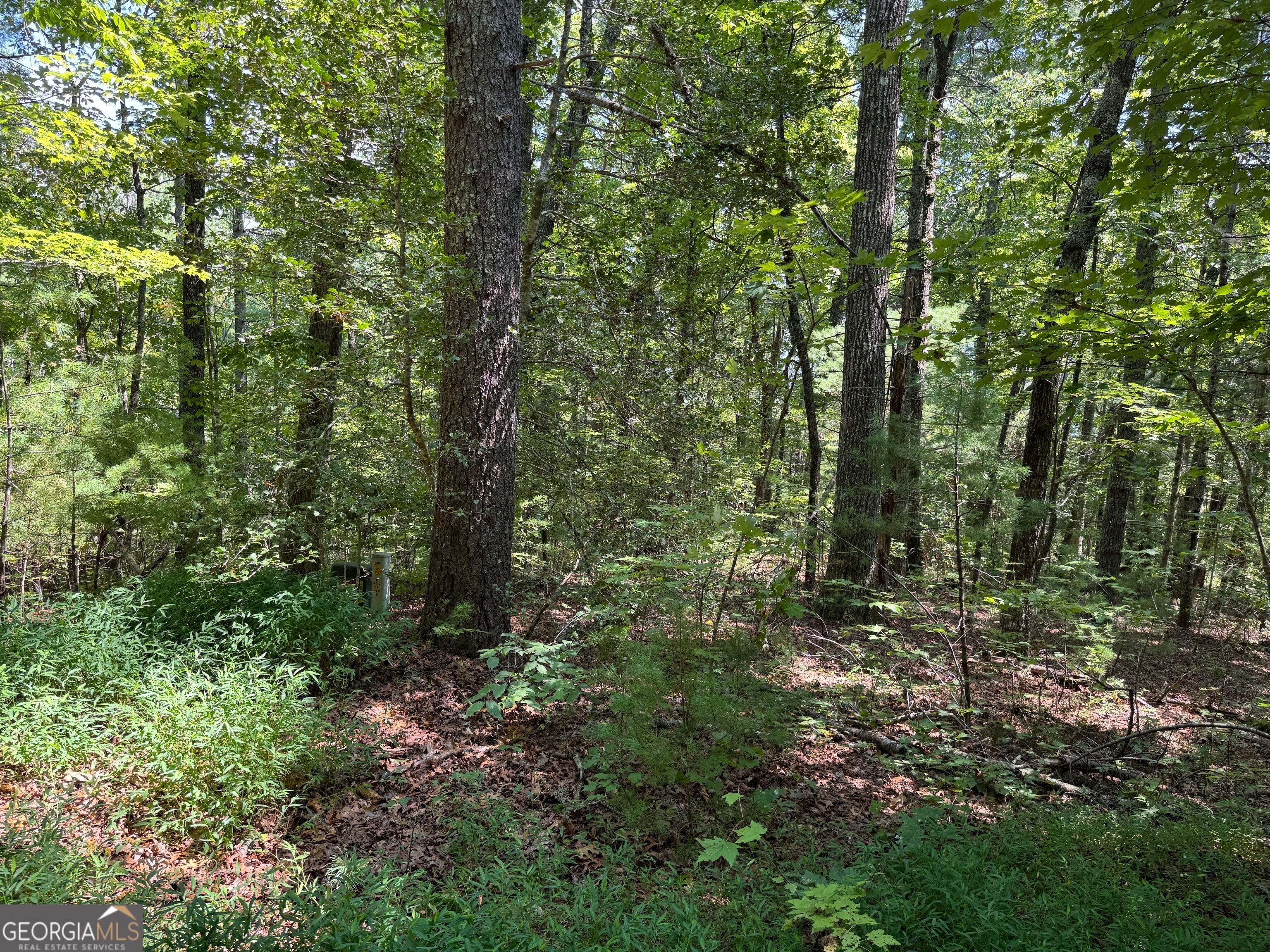 0 Baylaurel DR