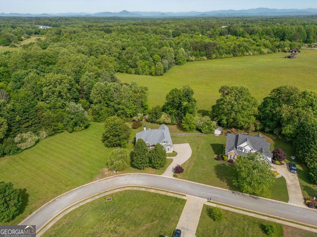Photo of 190 Towerview Circle, Mount Airy, GA 30563 (MLS # 10757668)