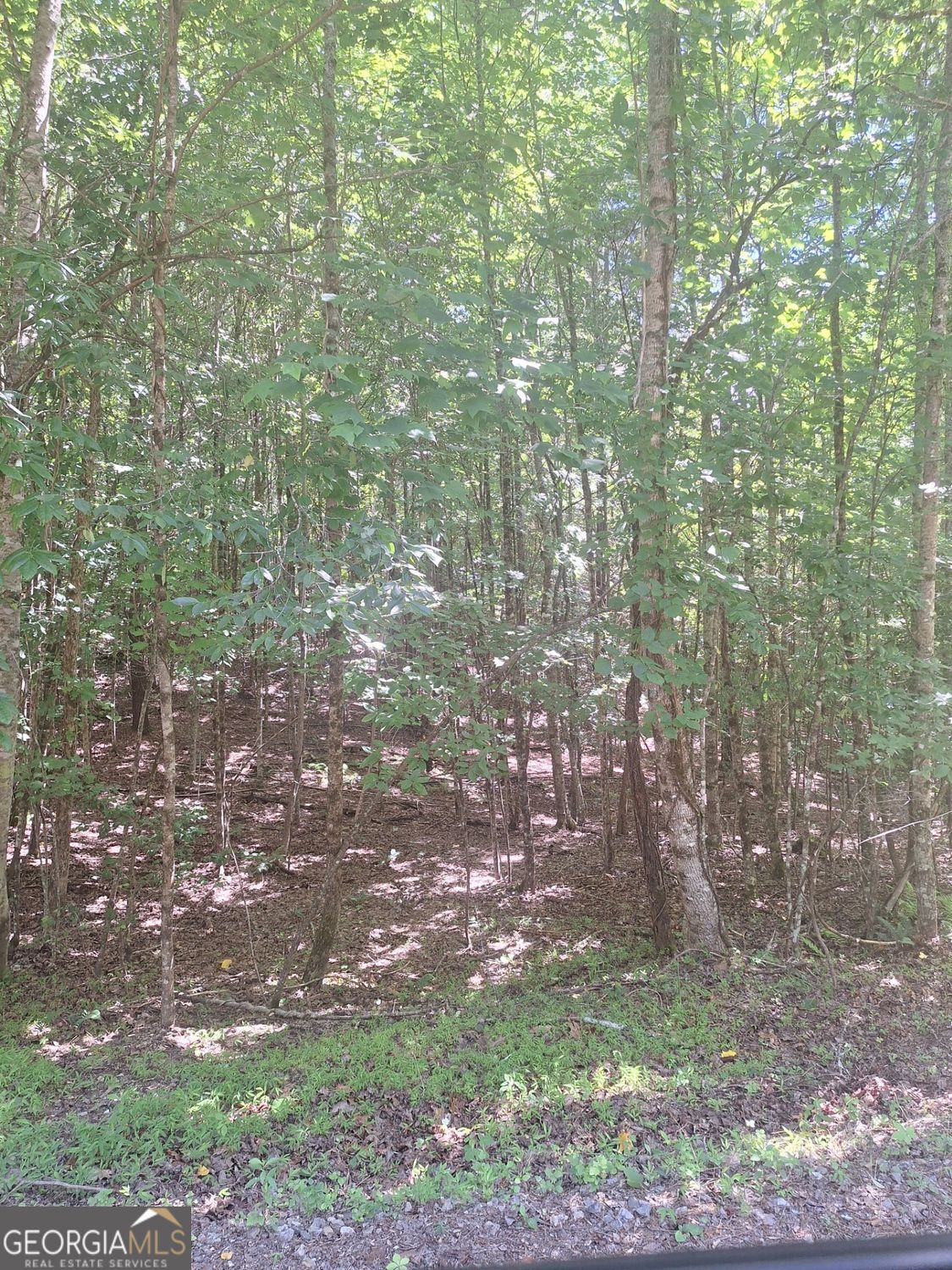 Photo 1 of 8 — 0 Judah RD, Morganton, GA 30560