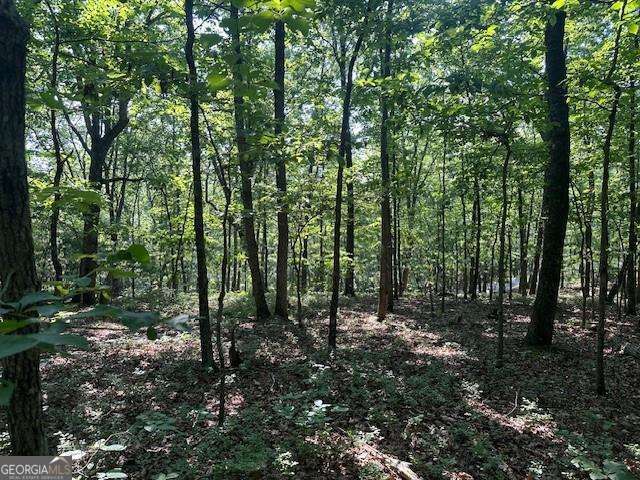 0 Bear Mountain RD