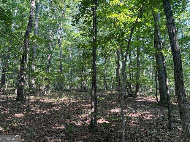 0 Bear Mountain RD