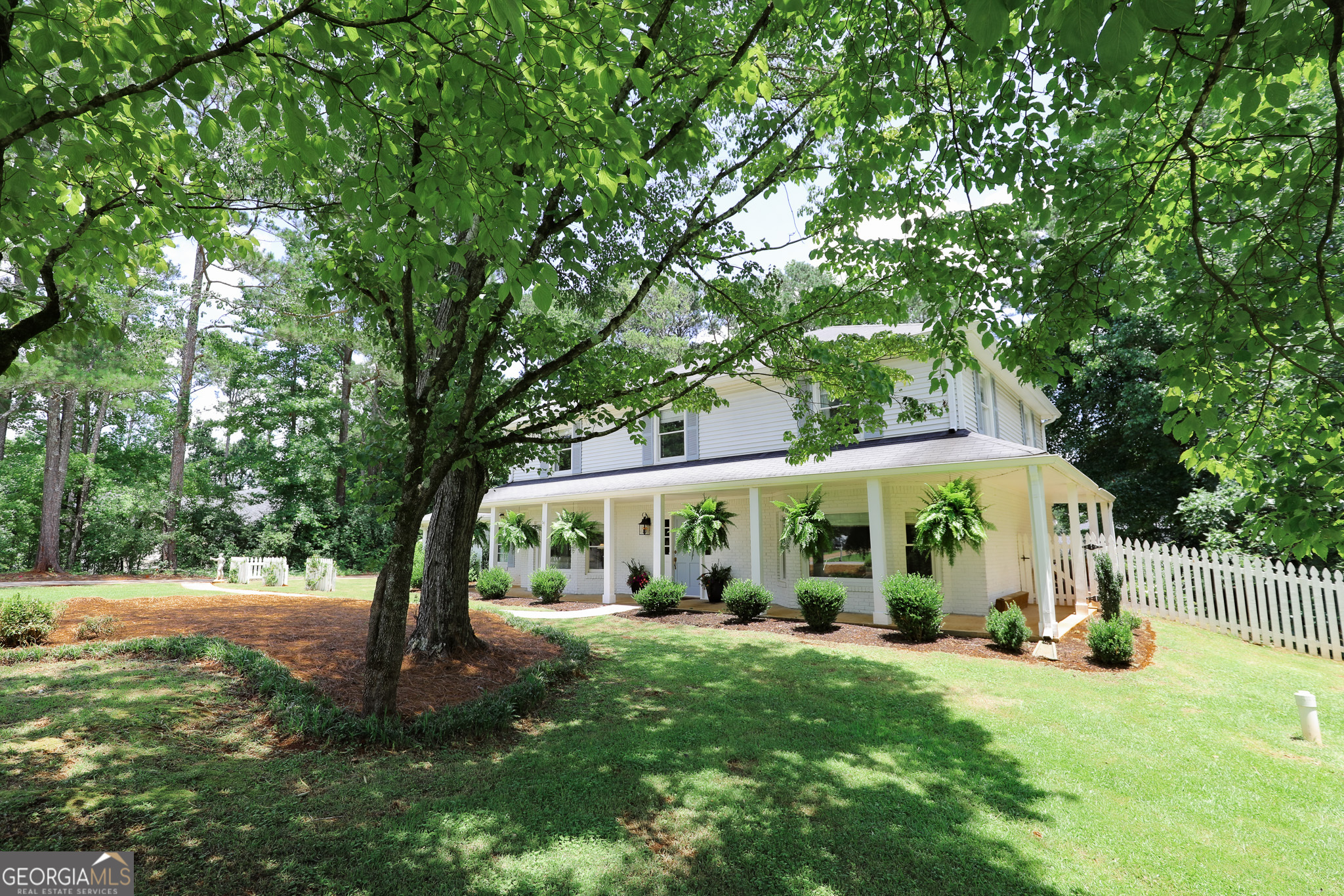 8 Crepe Myrtle