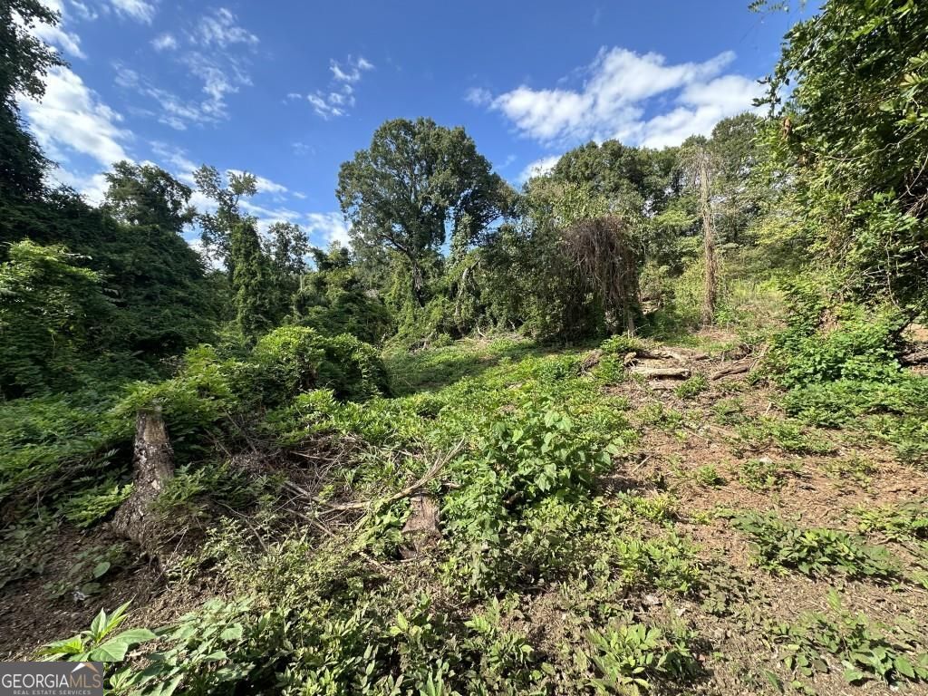 This residential lot on Lakewood Avenue with 98' of road frontage has endless opportunities. Located only steps from Lakewood Amphitheater and Cinespace Studios Atlanta, this R-4 Residential lot is located between to Langford Parkway and Lakewood. Downtown, Midtown and Atlanta Hartsfield Jackson International Airport are only minutes away. The seller has shifted focus onto other development opportunities in South Georgia. Boundary survey, topographic survey and private arborist report for the lot are available upon request. Public water access is readily available, and sewer connection is up the street. Buyer to verify all details with development authorities.