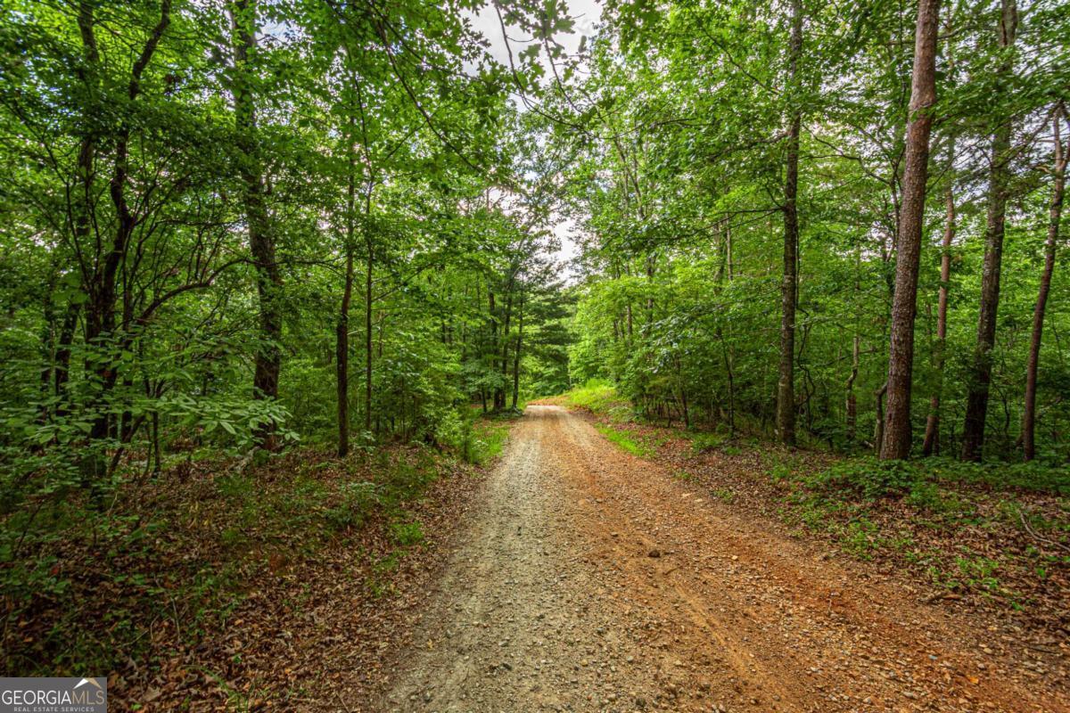 Beautiful, workable, wooded sloped land with a buildable gently sloped ridge back building area. Great for a basement or crawl space though a ranch could be an option with significant site manipulation. Southern Lumpkin County steeped in gold rush history