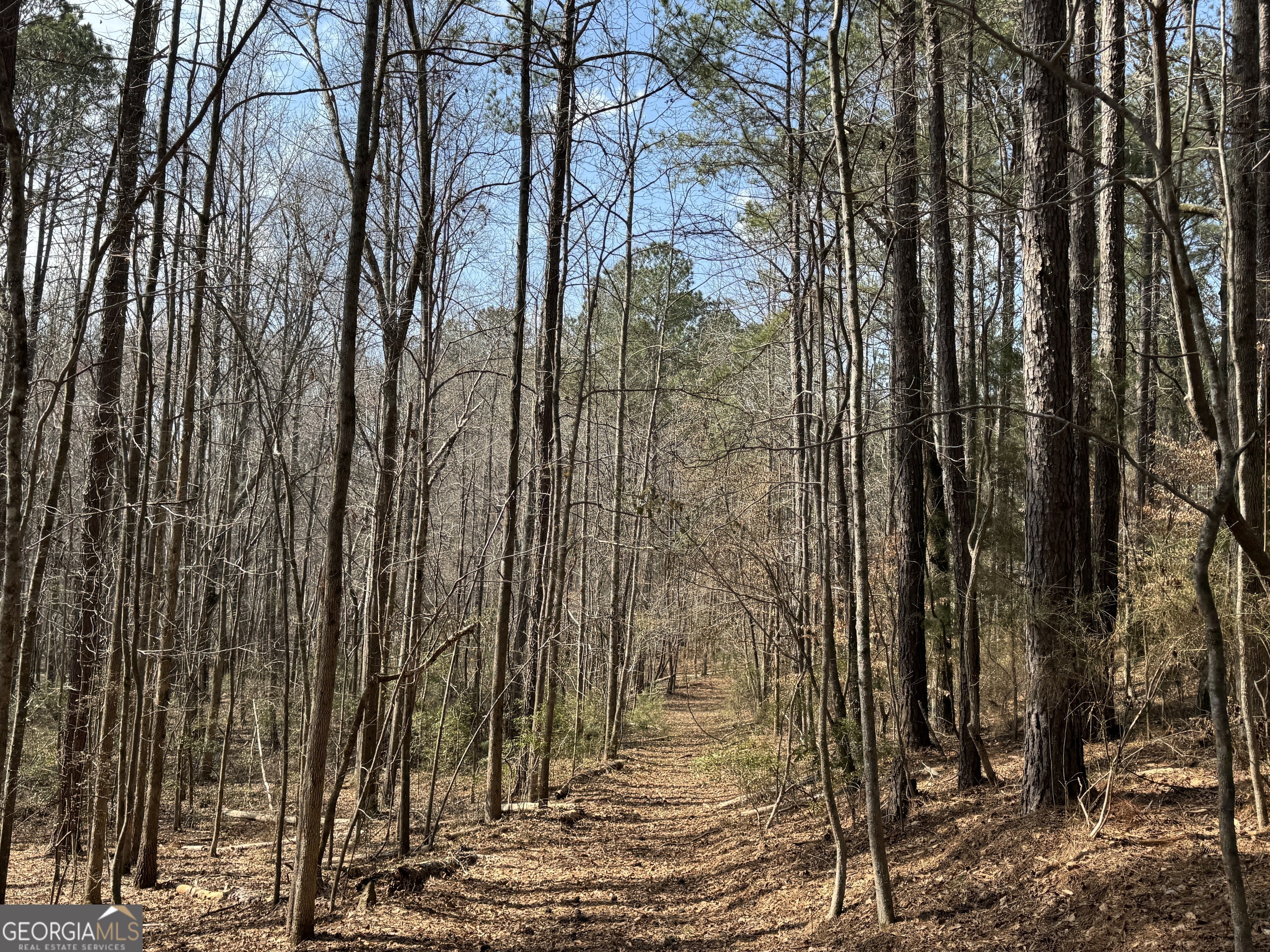 1281 Johnson Mill RD