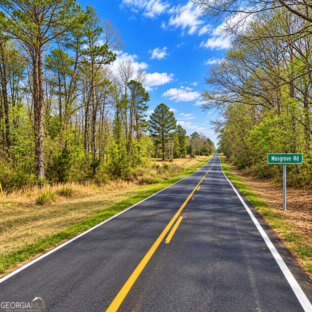 Photo of 878 Musgrove Road, Griffin, GA 30223 (MLS # 10876582)