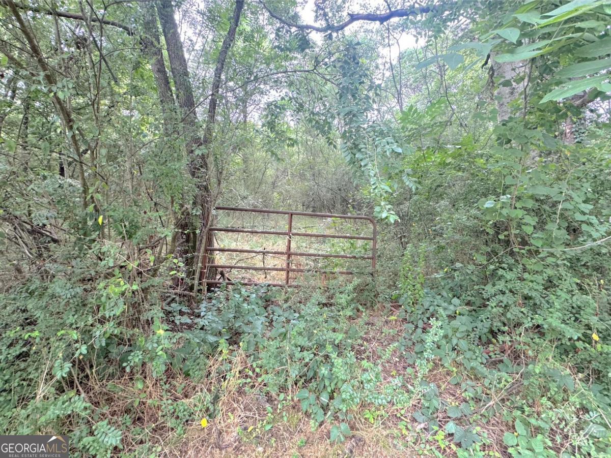 Here is your chance to have your dream home built, private land in Cartersville. This 6.44-acre sits off the road. You could build a farm, Great land to build your dream home and farm